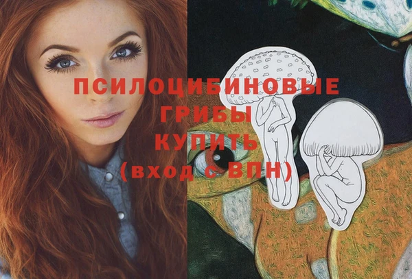 ECSTASY Надым