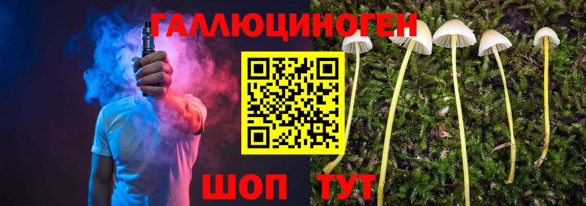 Псилоцибиновые грибы мухоморы Саров